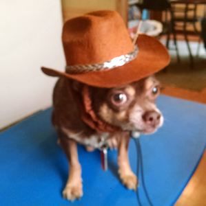 Meet your Posher, Jane